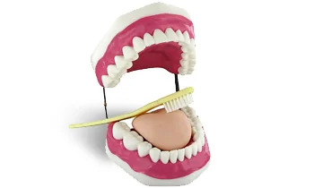 Oral hygiene